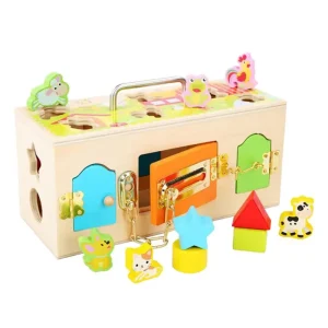 Cub Educativ Montessori Sortator Forme si Inchizatori