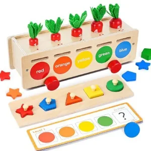 Joc Montessori Motricitate cu Sortator Forme si Culori