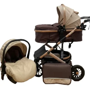 Carucior Pliabil cu Scoica Landou Reversibil Duo