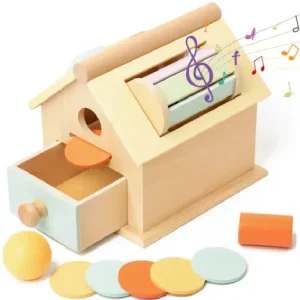 Jucarie Educativa Casuta Montessori cu Cilindru