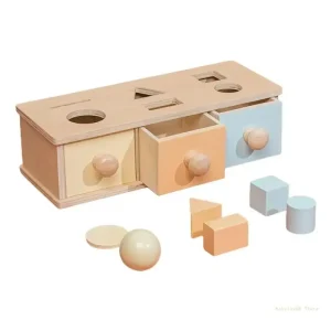 Cutia Permanentei Joc cu Forme Geometrice