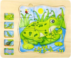 Puzzle Incastru Montessori Ciclul Vietii al Broscutei