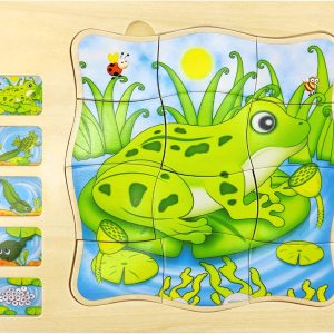 Puzzle Incastru Montessori Ciclul Vietii al Broscutei