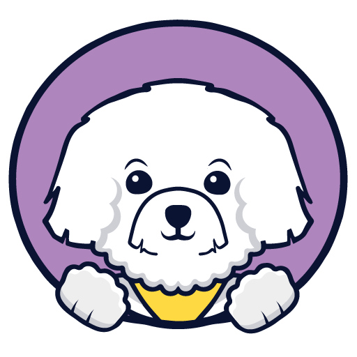 CaraToys – Magia copilăriei în fiecare jucărie