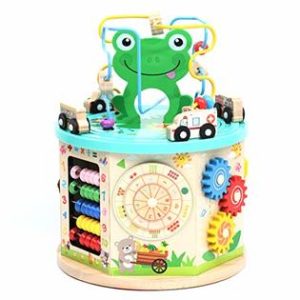 Centru Activitati Cub Interactiv 9in1 Broscuta