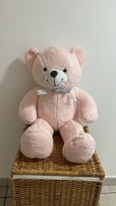 Teddy Ursulet de Plus cu Fundita