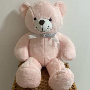 Teddy Ursulet de Plus cu Fundita