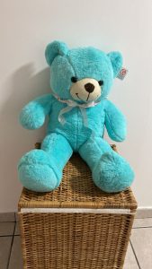Teddy Bear cu Fundita Ursulet Plus