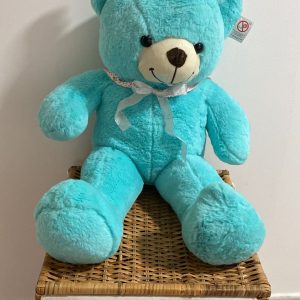Teddy Bear cu Fundita Ursulet Plus