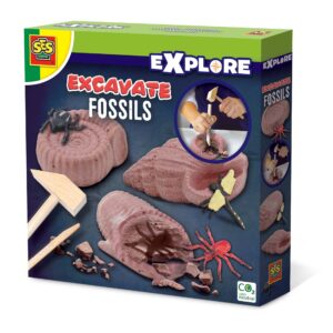 Set creativ - Excavati fosile