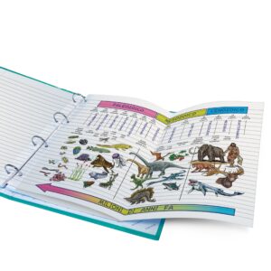 Foi rezerva A4 - 210x297 - 100 g/m2, 15 buc (Matematica)