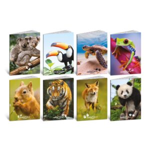 Caiet A4 de exercitii - Animale, 100 g/m2, 48 pag. (Matematica)