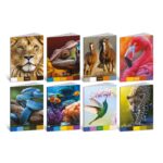 Caiet A4 de exercitii - Animale-paleta de culori, 80 g/m2, 40 pag. (Matematica)