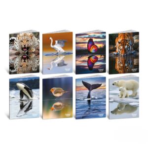 Caiet A4 de exercitii, coperta tare - Animale in reflexie, 80 g/m2, 40 pag. (Matematica)