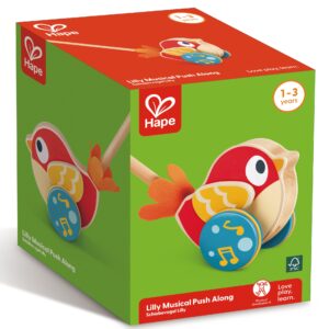Jucarie din lemn de impins - Pasarea muzicala Lily