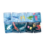 E1634-OCEAN-LIFE-cards-1.jpg